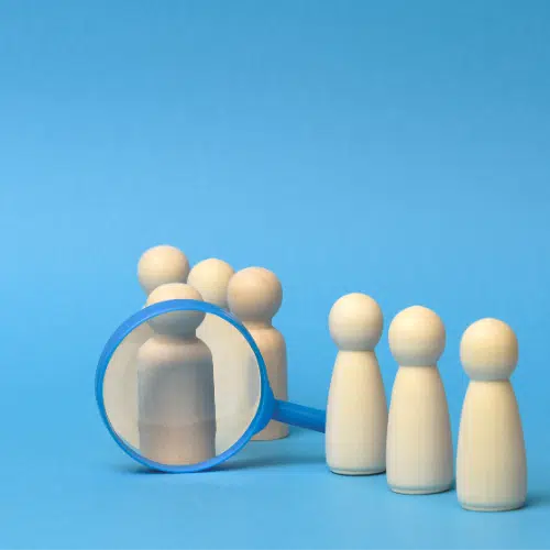 IT recruitment expertise focused on technical judgment and role suitability