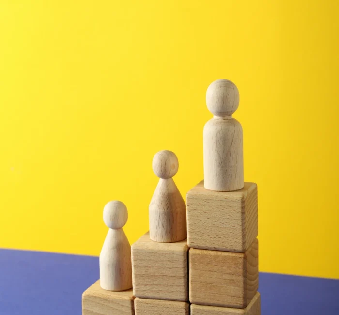 IT recruitment agency in India